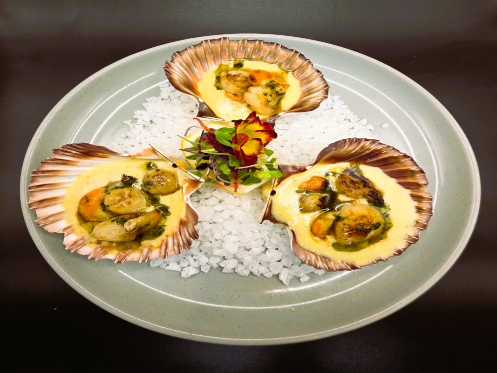 Scallops